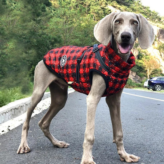 Waterproof Warm Winter Coat With Harness For Dogs