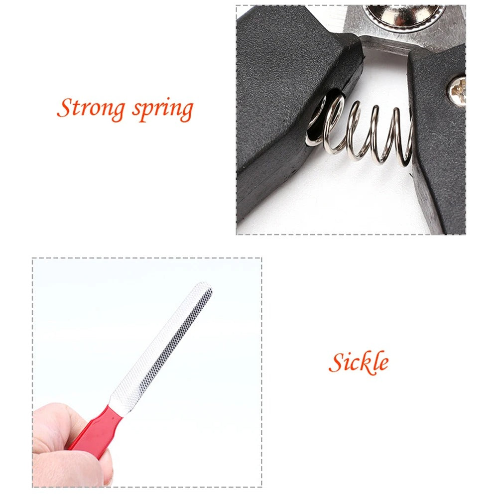 Professional Nail Clipper Cutter With Sickle Stainless Steel Grooming Scissors Clippers for Pet